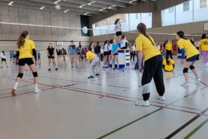 2025.11 Volleyball OS3 2025.11 Volleyball OS3